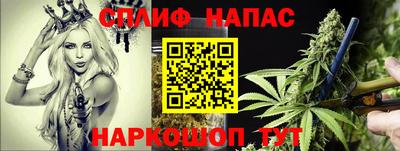 дмт Пенза