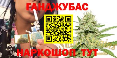 дмт Пенза