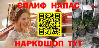 дмт Пенза