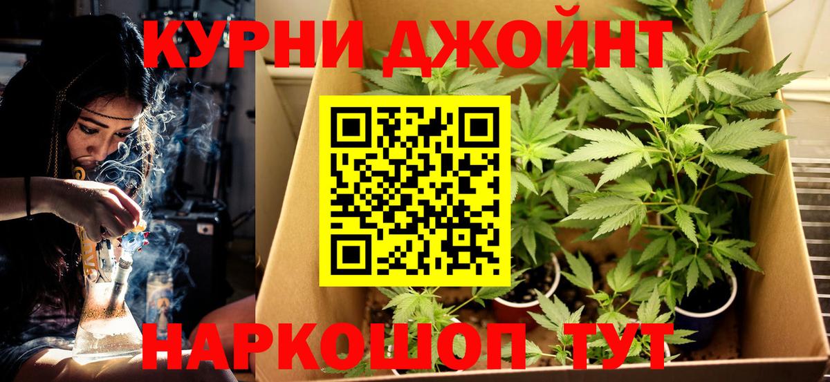 Канабис план Полысаево